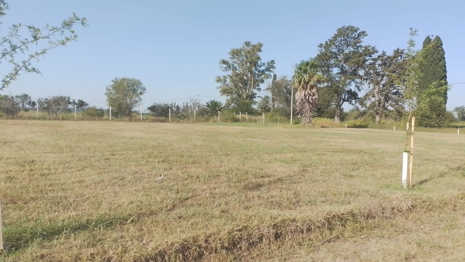 VENTA DE LOTE EN B LA FLORIDA(EX LA QUINTA), LEONES , MARCOS JUAREZ
