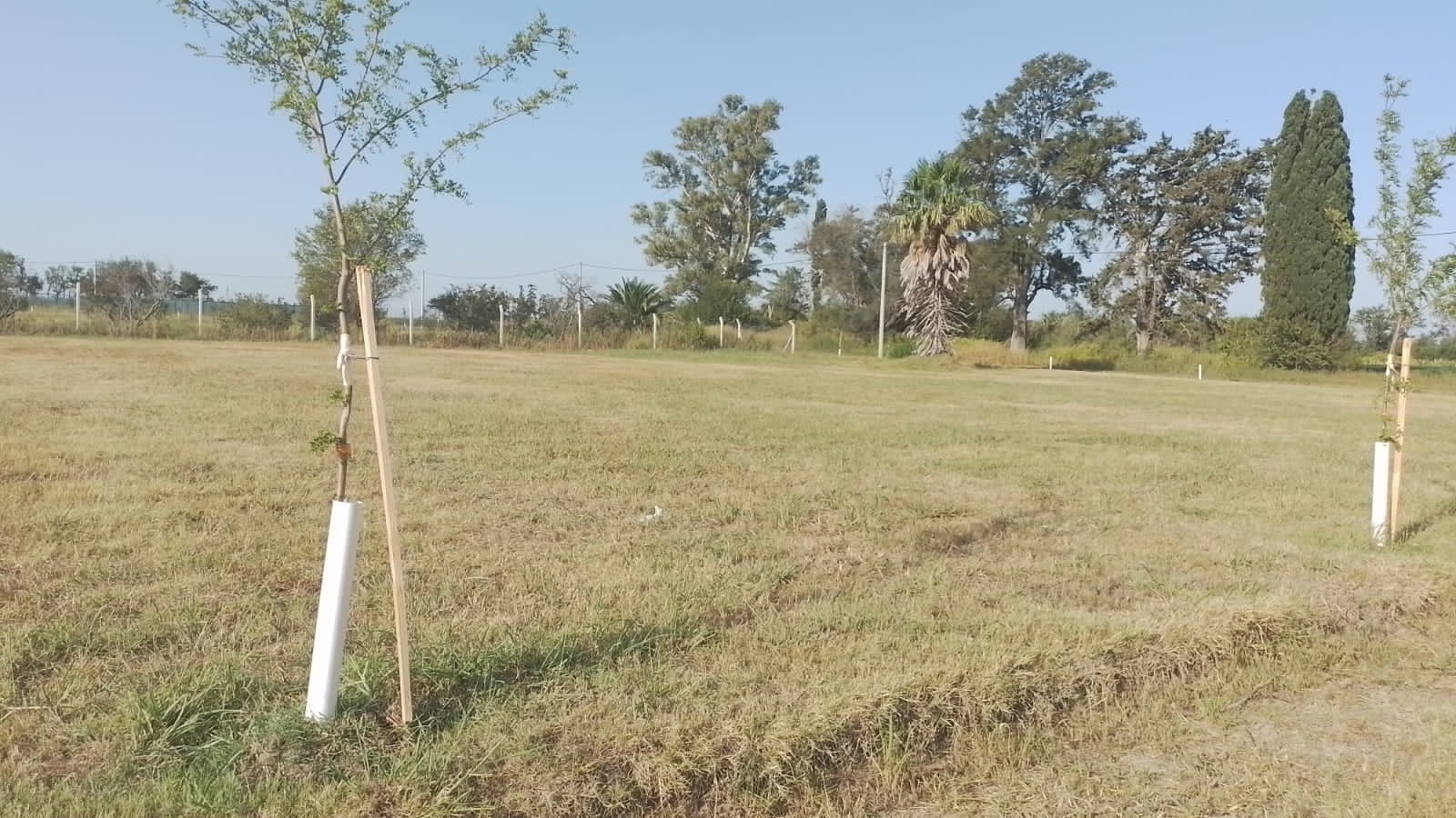 VENTA DE LOTE EN B LA FLORIDA(EX LA QUINTA), LEONES , MARCOS JUAREZ