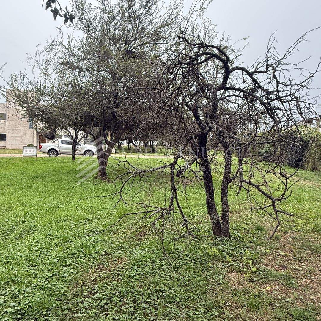 LOTE BELA VISTA RIO CEBALLOS ESC. OFERTAS