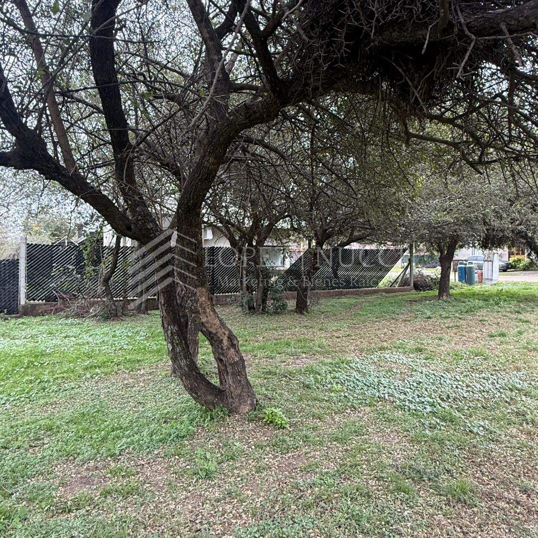 LOTE BELA VISTA RIO CEBALLOS ESC. OFERTAS