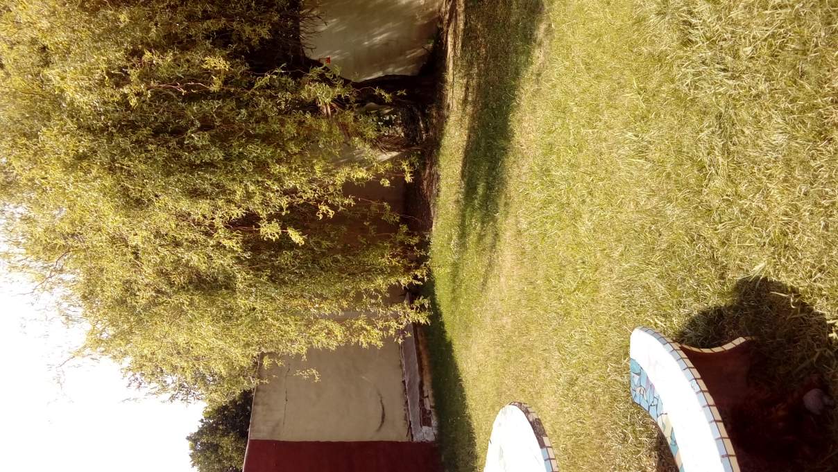 PARQUE LATINO IDEAL FAMILIA O INVERSION