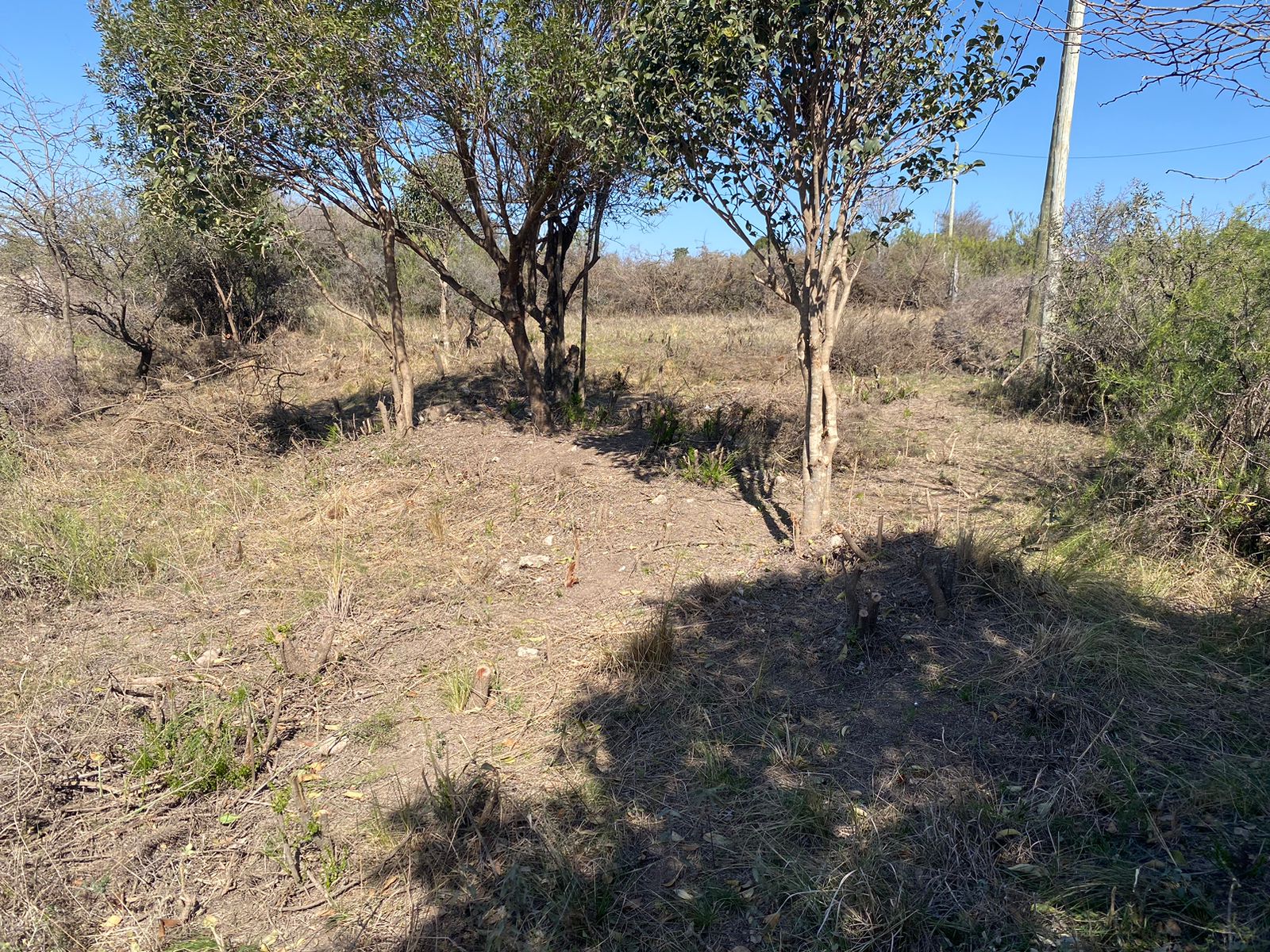 Terreno en Venta Mallín - 510 m2