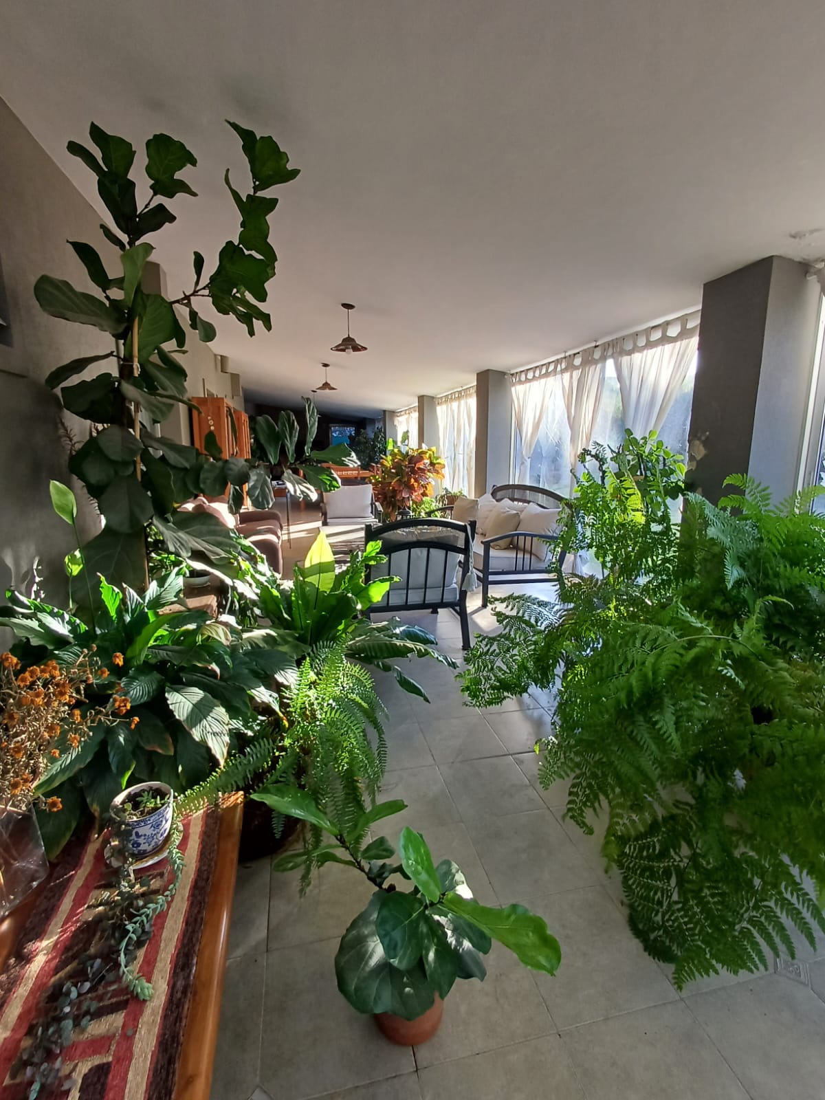 SAN ISIDRO 3 DORM CASA CON PILETA EN ALQUILER VILLA ALLENDE