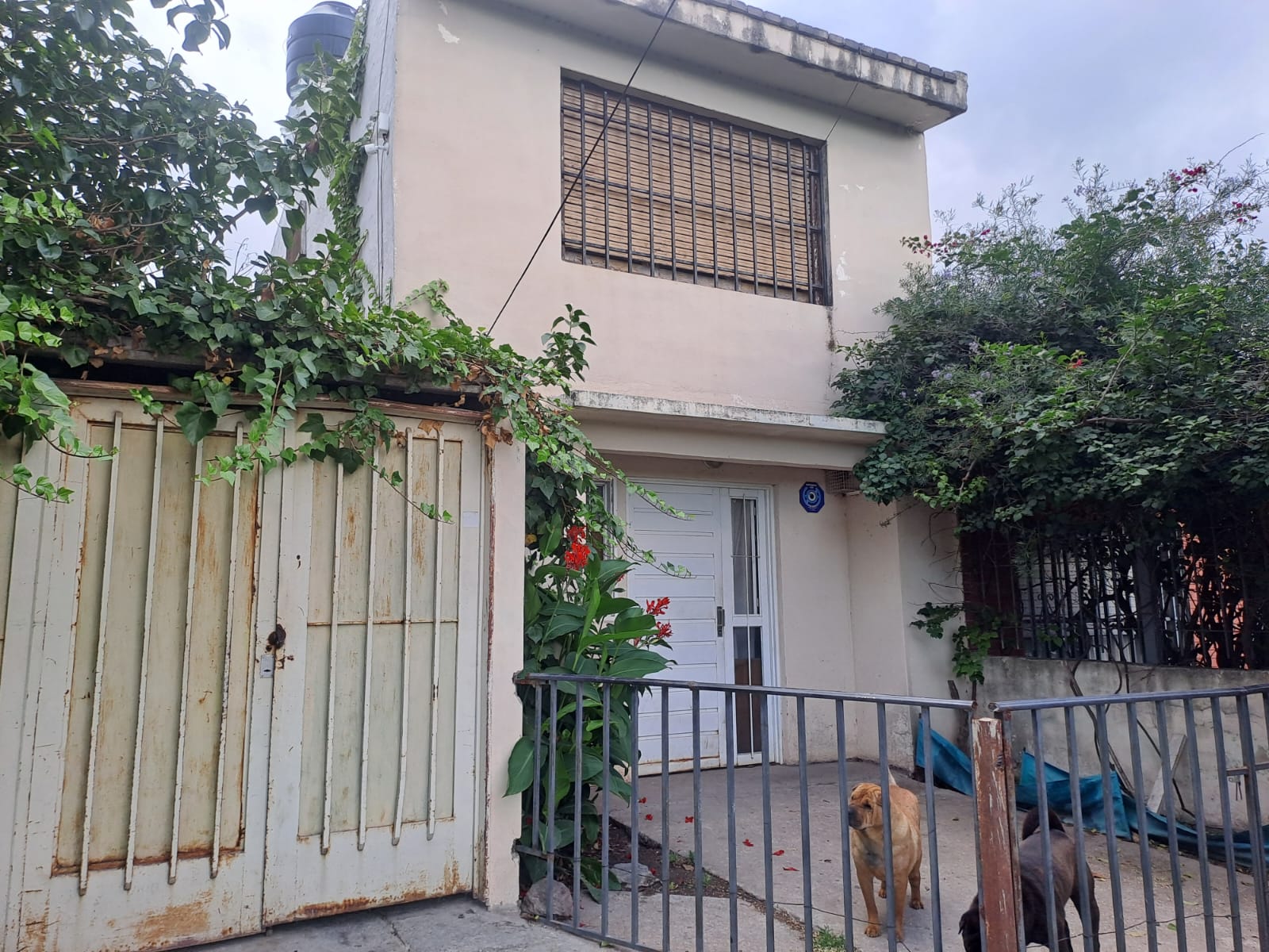 OPORTUNIDAD EN BARRIO LOS OLMOS !! VENTA EN BLOQUE CON ESCRITURA