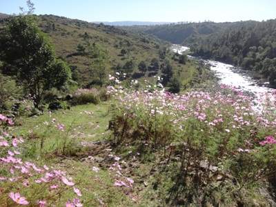 Alquiler Temporal Casa -Los Espinillos (Potrero de Garay)-Vista y Bajada al Río-Playa privada.