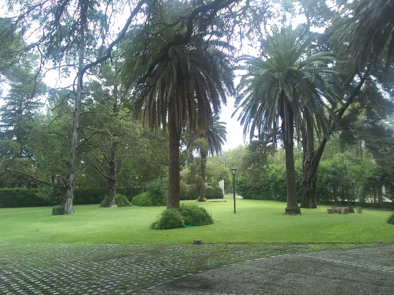 OFICINA AMOBLADA EN ZONA NORTE . AMENITIES, SALA DE REUNION, JARDIN