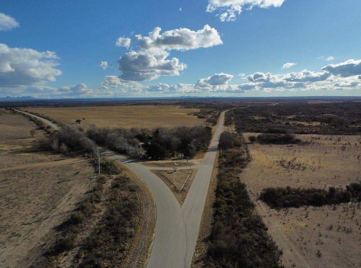 PRECIO NUEVO - CAMPO en RENCA PCIA DE SAN LUIS