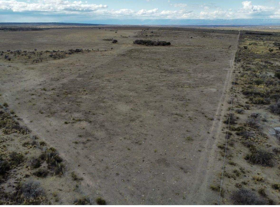 PRECIO NUEVO - CAMPO en RENCA PCIA DE SAN LUIS