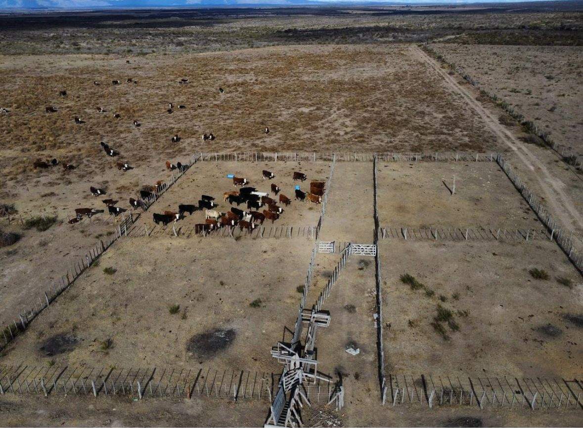 PRECIO NUEVO - CAMPO en RENCA PCIA DE SAN LUIS