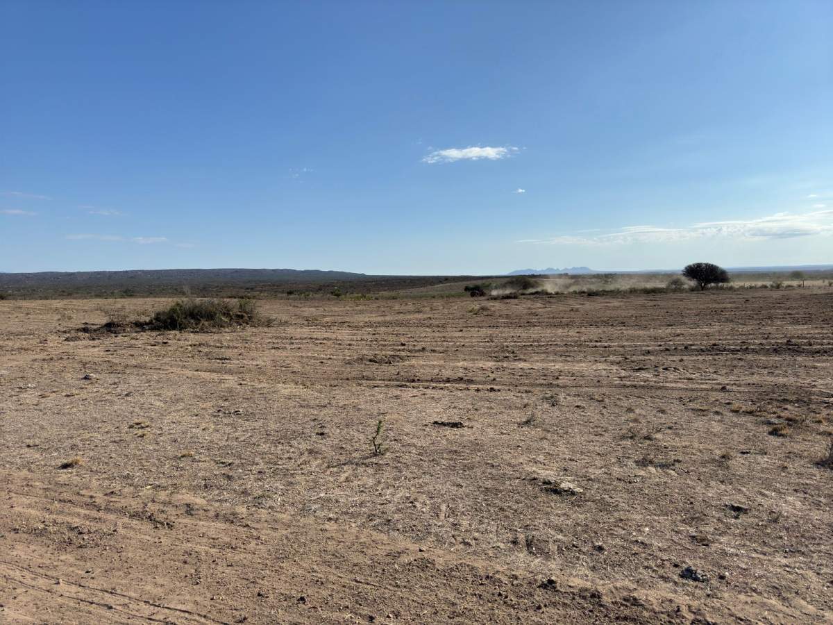 PRECIO NUEVO - CAMPO en RENCA PCIA DE SAN LUIS