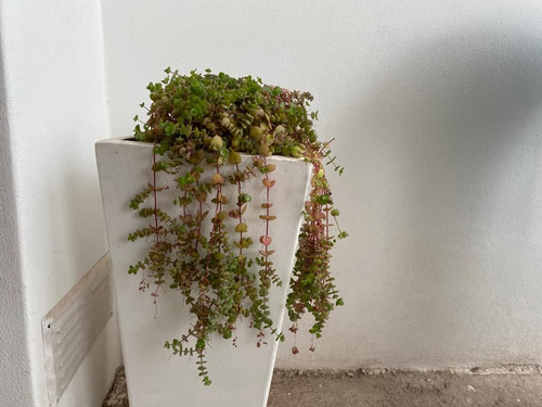 Venta Casa 8 Dormitorios Embalse Con Cochera