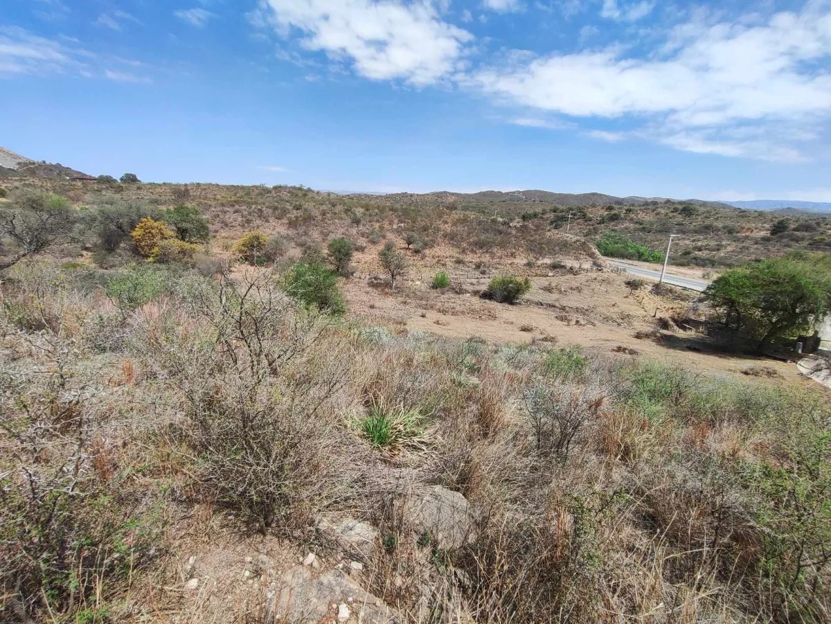 vendo lote en las jarillas
