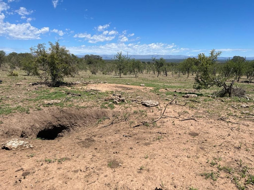 Venta Campo Villa Quillinzo (40ha)