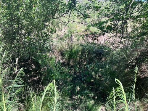 Venta Campo Villa Quillinzo (40ha)