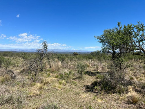 Venta Campo Villa Quillinzo (40ha)