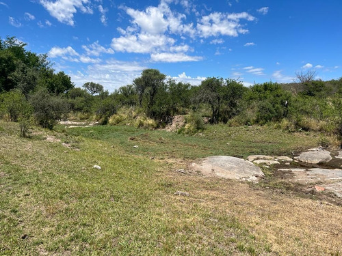 Venta Campo Villa Quillinzo (40ha)