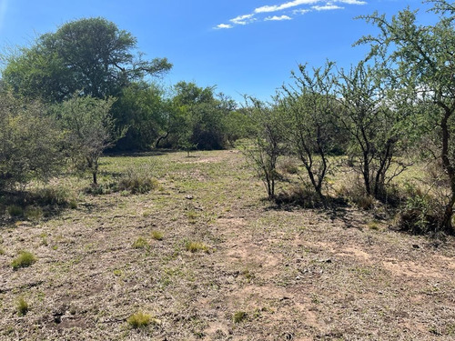 Venta Campo Villa Quillinzo (40ha)