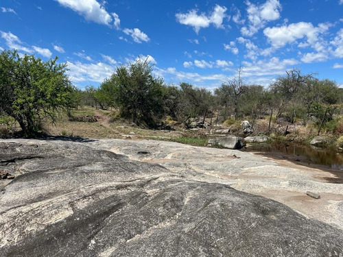 Venta Campo Villa Quillinzo (40ha)