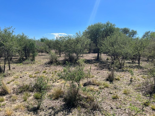 Venta Campo Villa Quillinzo (40ha)