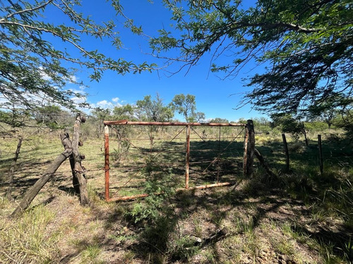 Venta Campo Villa Quillinzo (40ha)