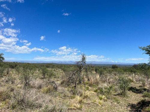 Venta Campo Villa Quillinzo (40ha)