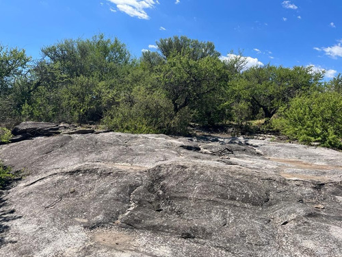 Venta Campo Villa Quillinzo (40ha)