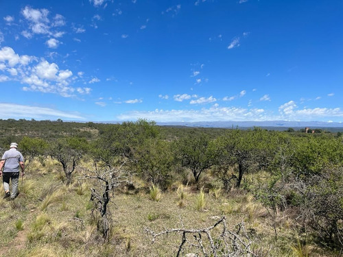 Venta Campo Villa Quillinzo (40ha)