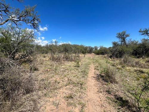 Venta Campo Villa Quillinzo (40ha)