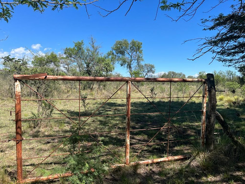 Venta Campo Villa Quillinzo (40ha)