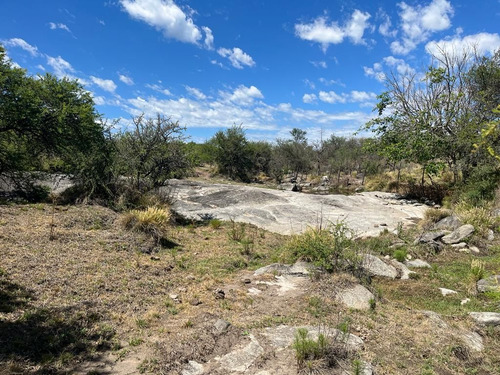 Venta Campo Villa Quillinzo (40ha)