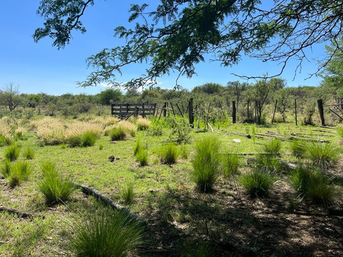 Venta Campo Villa Quillinzo (40ha)