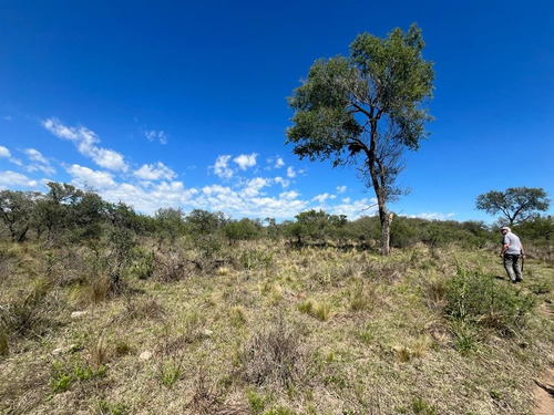 Venta Campo Villa Quillinzo (40ha)