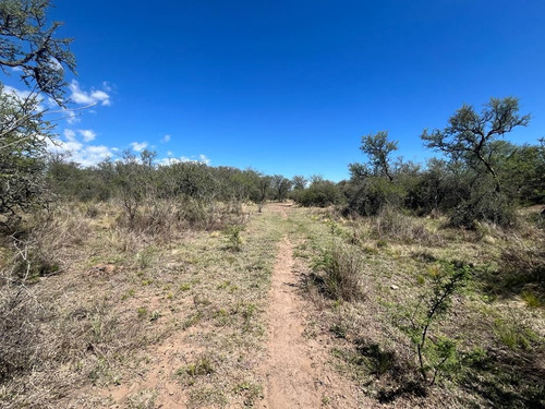 Venta Campo Villa Quillinzo (40ha)