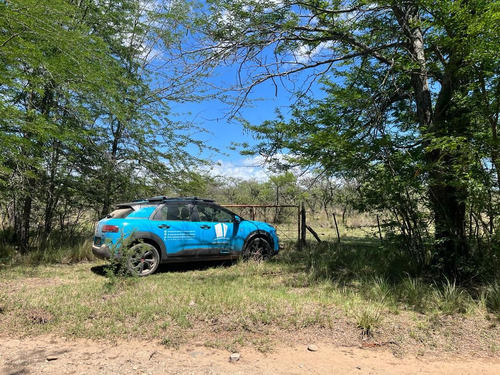 Venta Campo Villa Quillinzo (40ha)