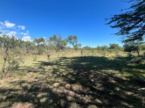 Venta Campo Villa Quillinzo (40ha)