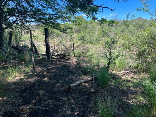 Venta Campo Villa Quillinzo (40ha)