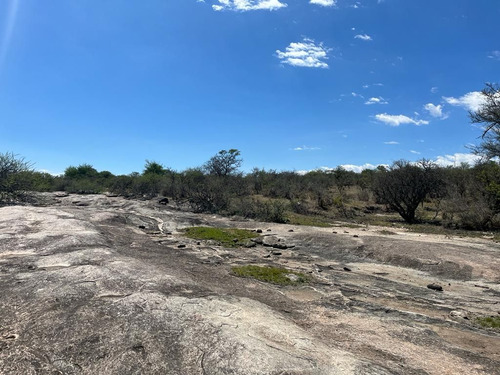 Venta Campo Villa Quillinzo (40ha)