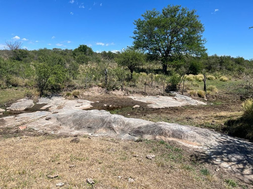 Venta Campo Villa Quillinzo (40ha)