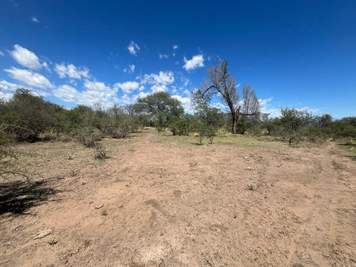 Venta Campo Villa Quillinzo (40ha)