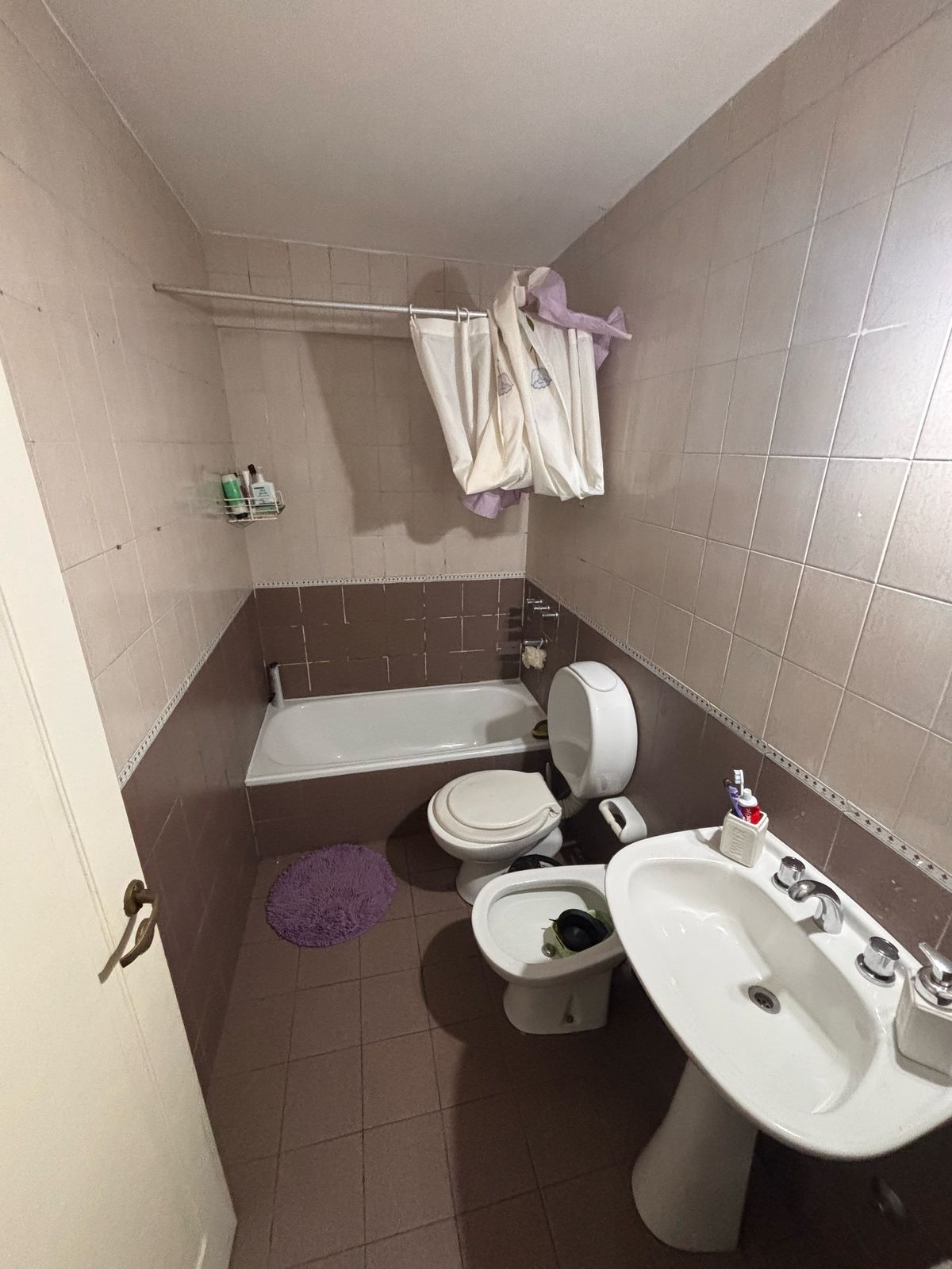 Vta 1 Dorm Rodeau y Balcarce c- Balcon
