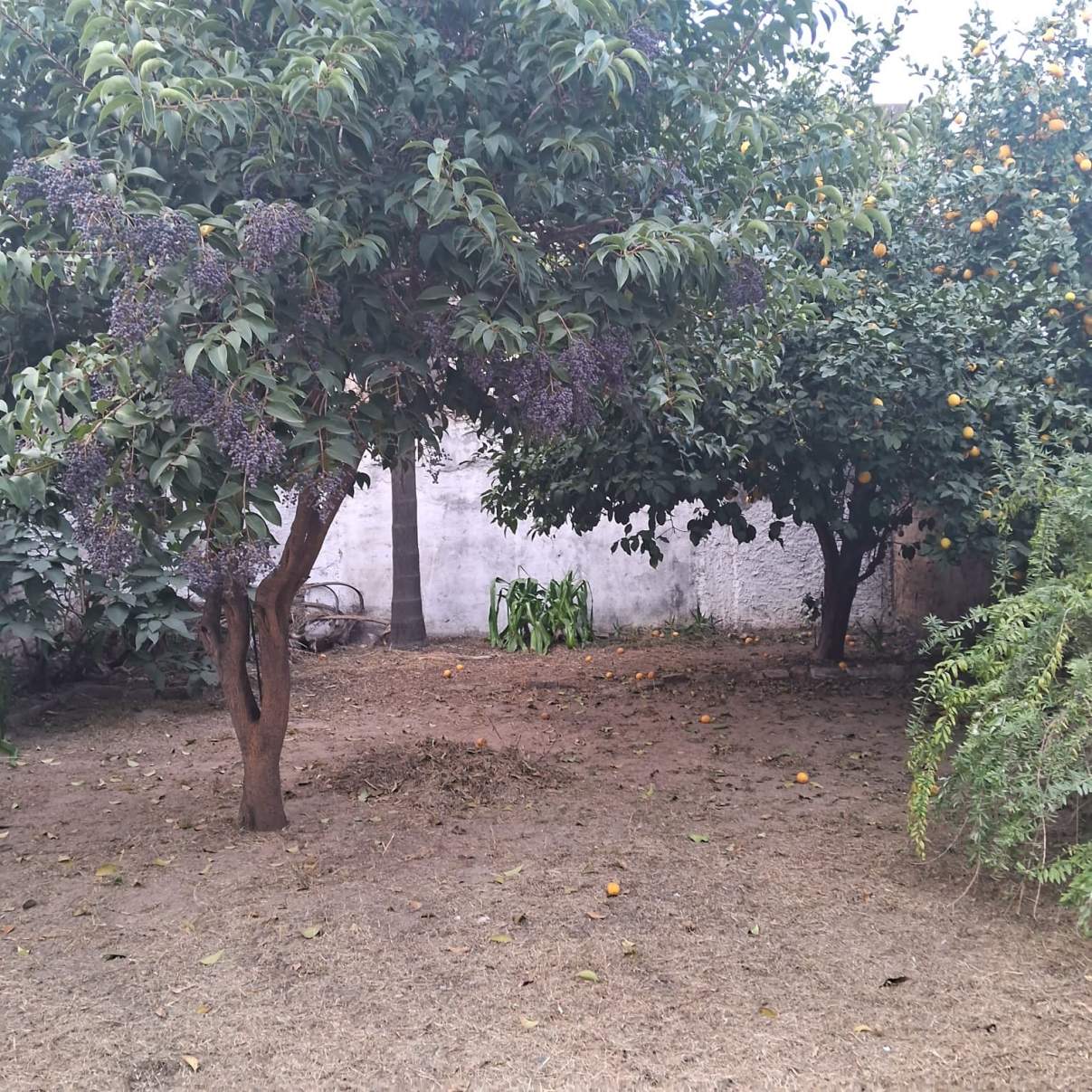 Casa de 2 dorm  Dpto en planta alta en Venta B Alberdi