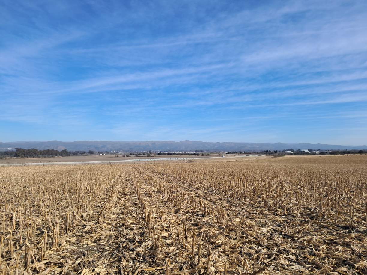 5 HA - CAMPO IDEAL LOTEO A 5 DE ALTA GRACIA