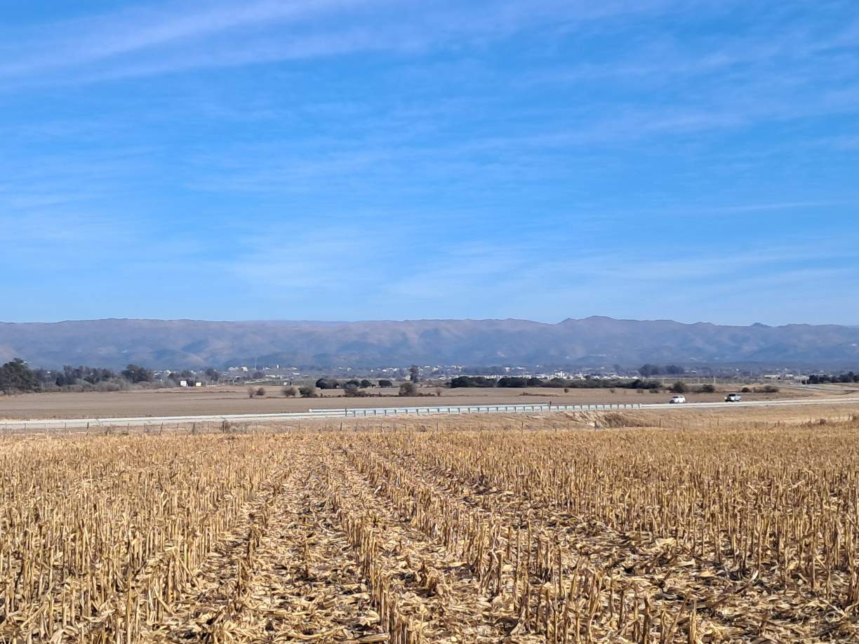5 HA - CAMPO IDEAL LOTEO A 5 DE ALTA GRACIA