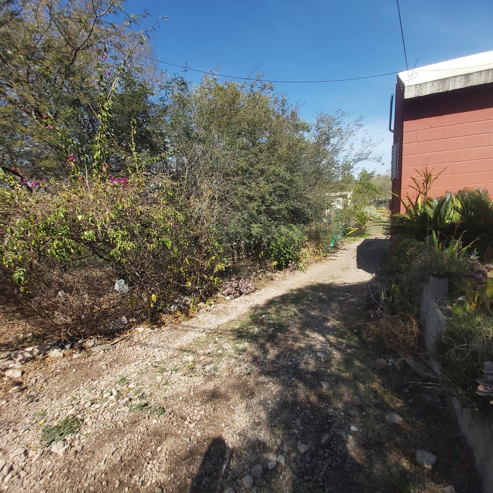 GRAN JARDIN PARA TUS DIAS EN MENDIOLAZA