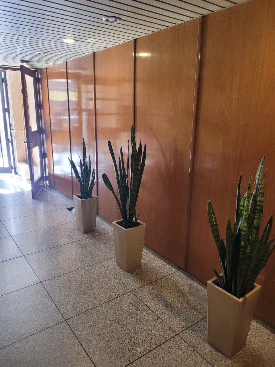 DPTO EN ALQUILER EN B CENTRO