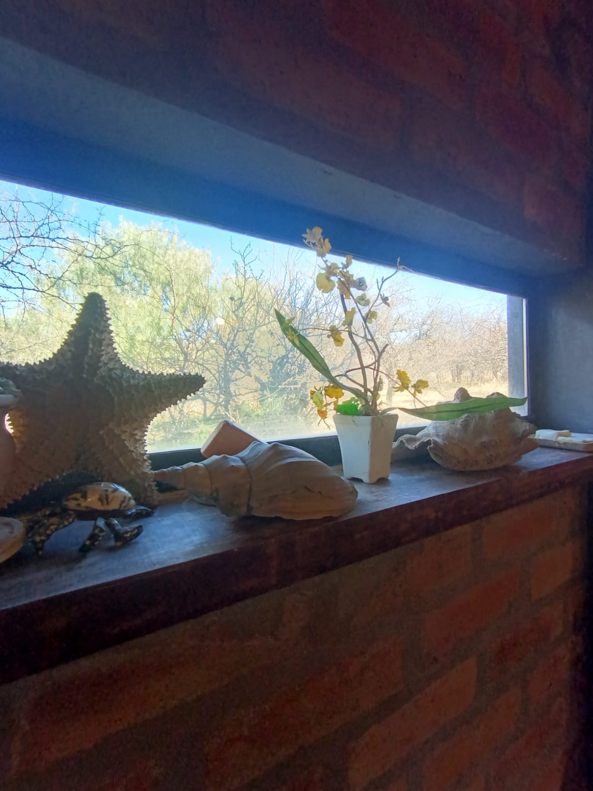 Casa Colibrí: un hogar con alma serrana
