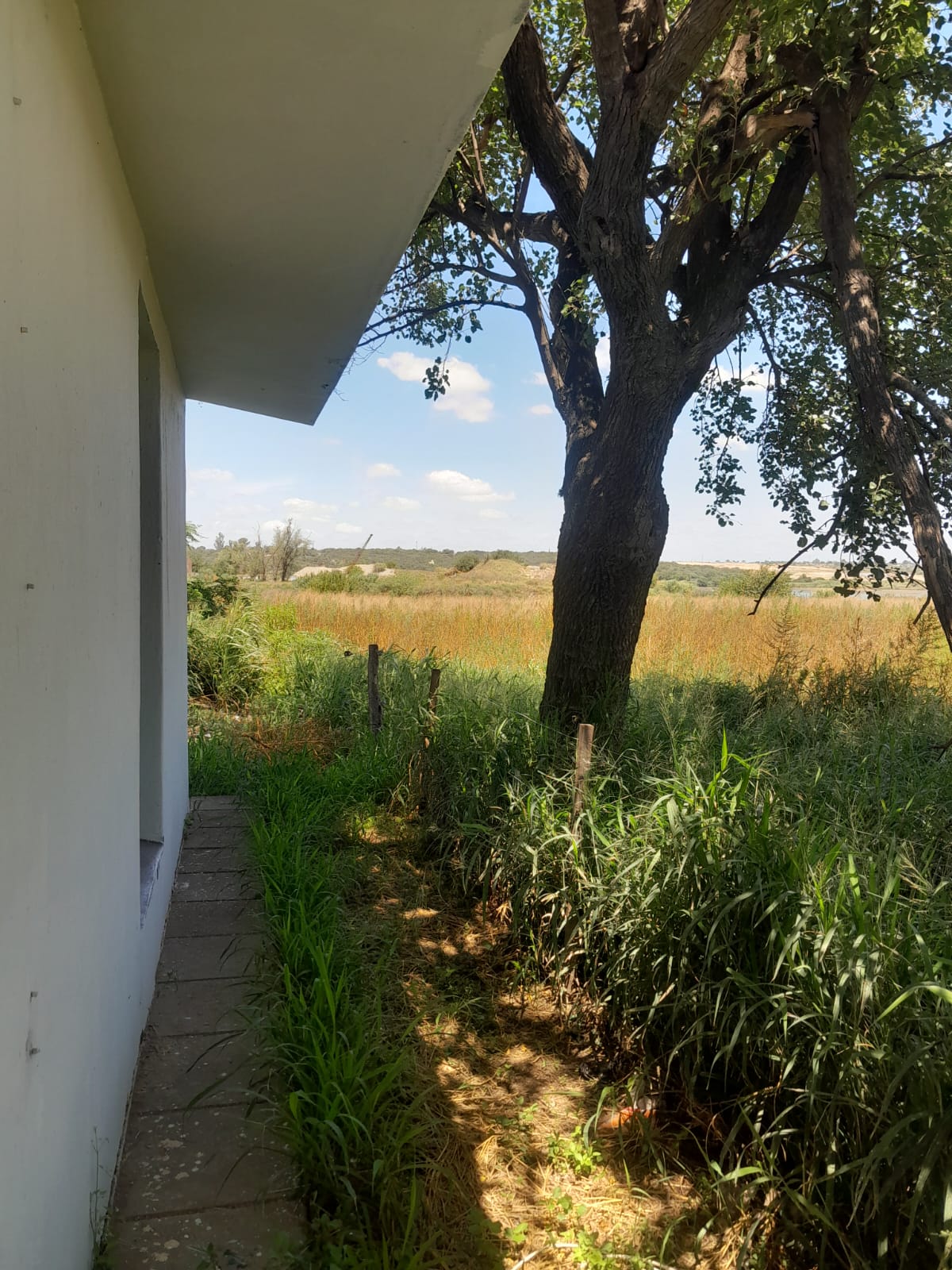 GALPON CON CASA 2 DORMITORIOS