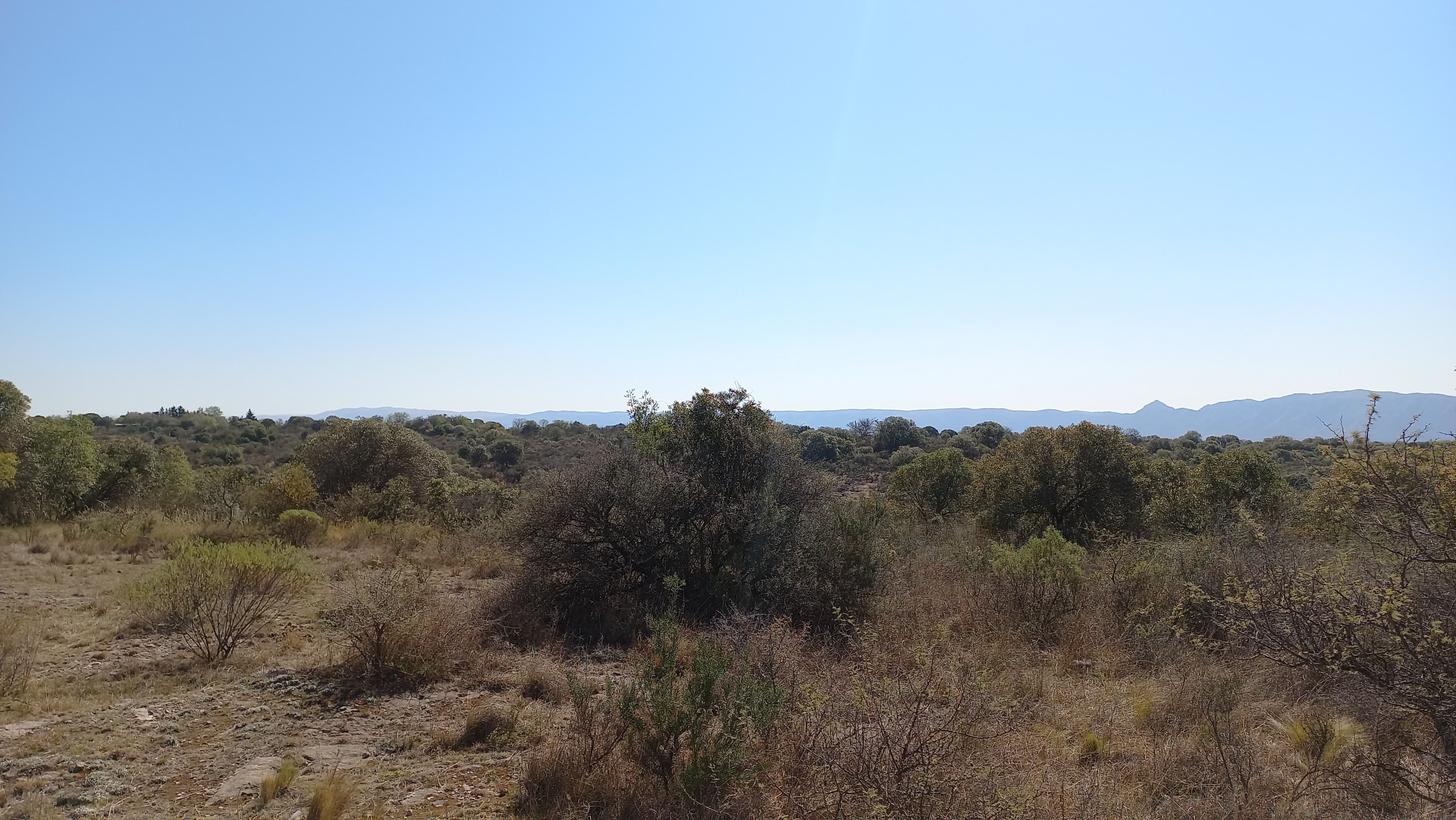 TERRENO EN VENTA SIERRAS DE CÓRDOBA