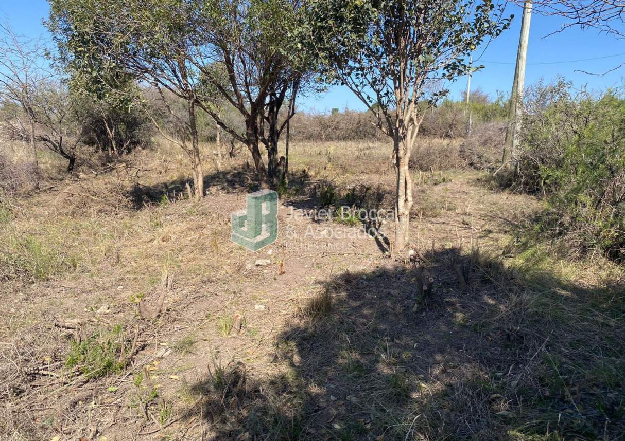 Terreno en Venta Mallín - 510 m2