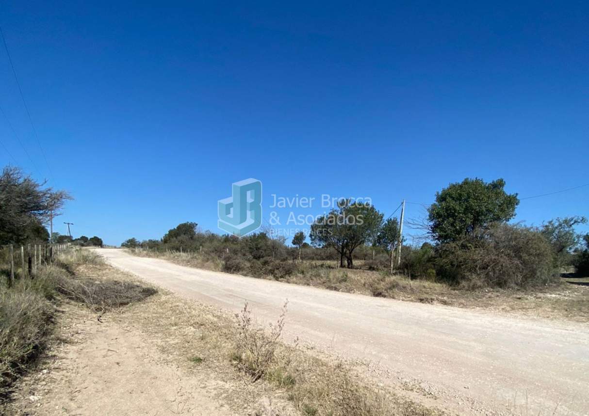 Terreno en Venta Mallín - 510 m2